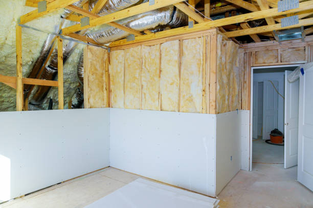 Best Insulation Air Sealing  in Wesley Chapel, FL